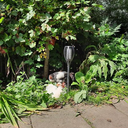 De Akker, Unieke Overnachting In Pipowagens! Ommeren Ngoại thất bức ảnh